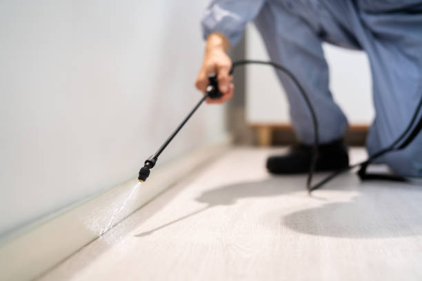 Licensed Termite Control service in Webberville, MI - Nex Pest Control