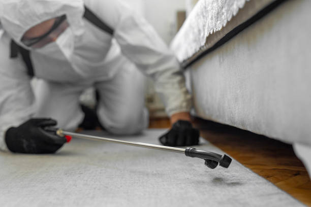 Professional Termite Control technician working in Webberville, MI