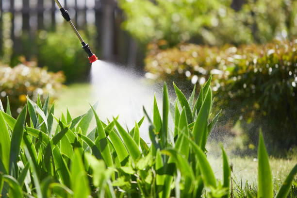 24/7 Emergency Termite Control experts in Webberville, MI