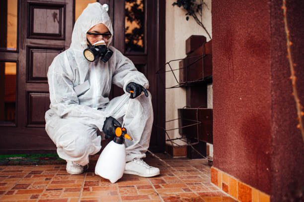 Reliable Termite Control contractor in Webberville, MI by Nex Pest Control