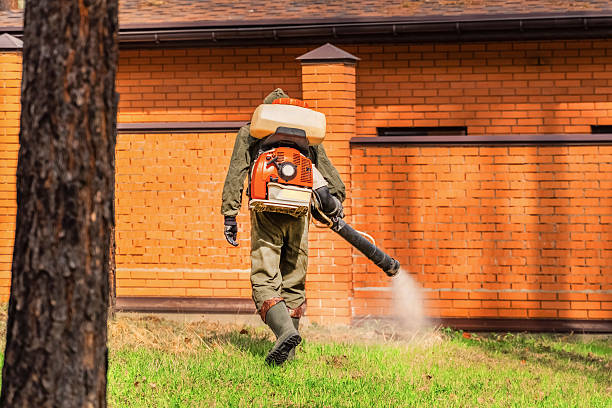 Top rated local Termite Control specialists in Webberville, MI